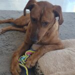 PHOTO-2026-02-28-14-09-26