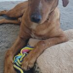 PHOTO-2026-02-28-14-11-06